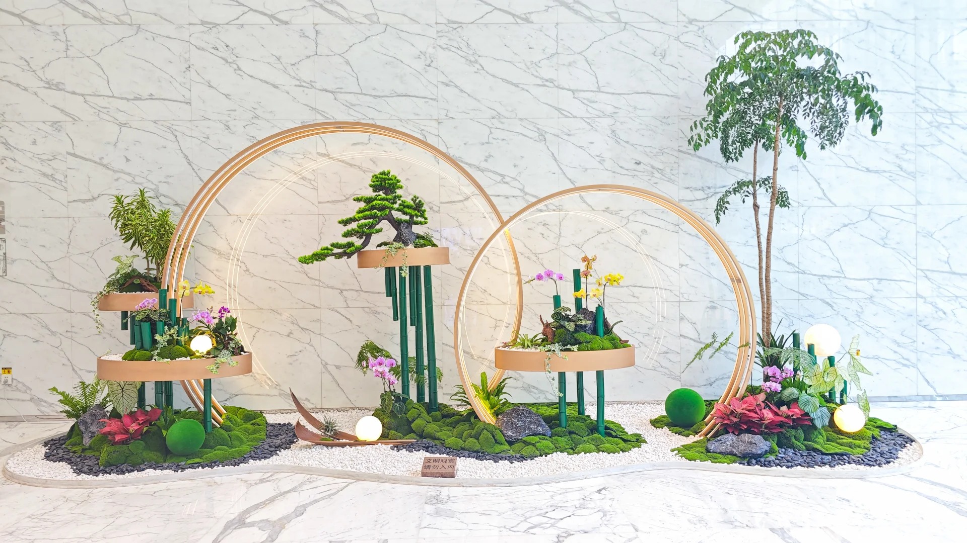 体验奉化花木租赁，邂逅不一样的花卉风情